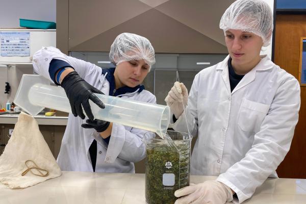 La UTN y entidades adherentes crearon el primer consorcio de investigación y desarrollo en Cannabis