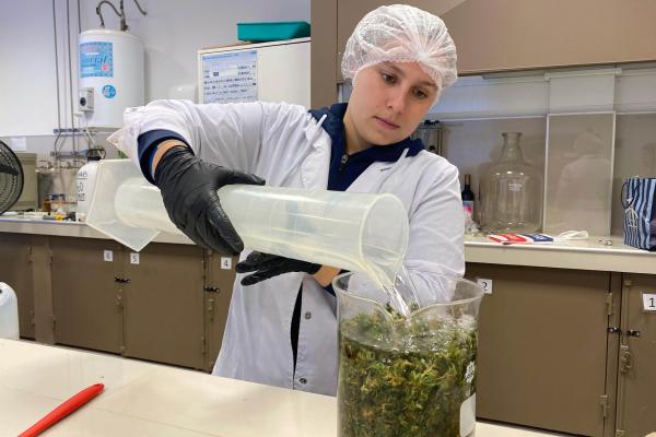 La UTN y entidades adherentes crearon el primer consorcio de investigación y desarrollo en Cannabis