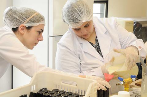 repelentes UTN La Plata